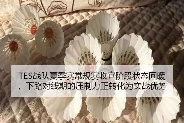 TES战队夏季赛常规赛收官阶段状态回暖，下路对线期的压制力正转化为实战优势